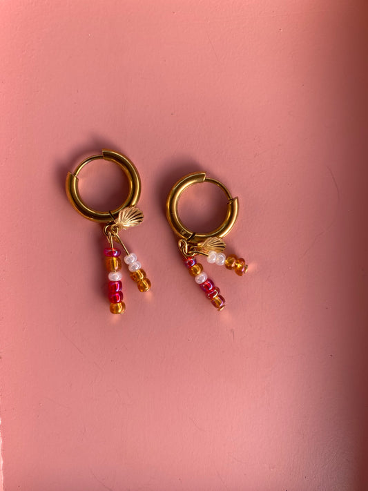 sunreef earrings
