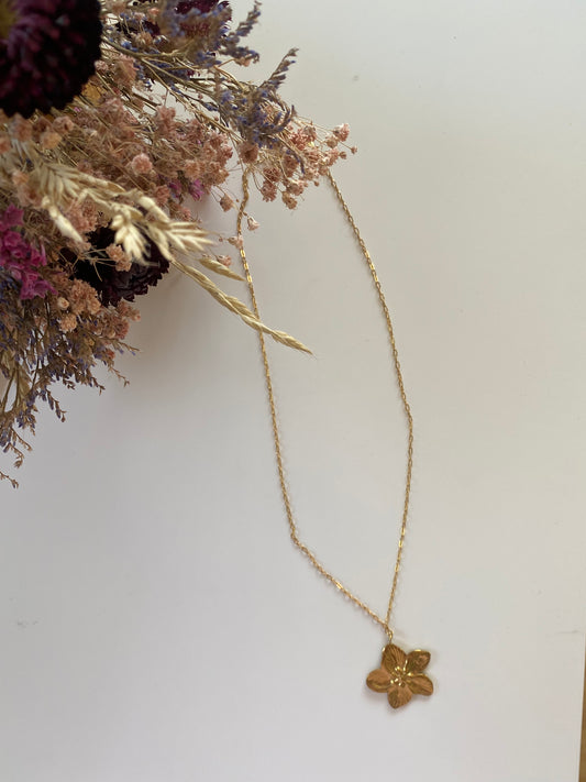 solani necklace